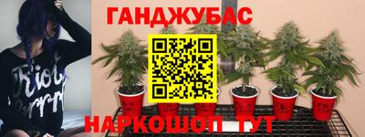 эйфоретик Краснокаменск
